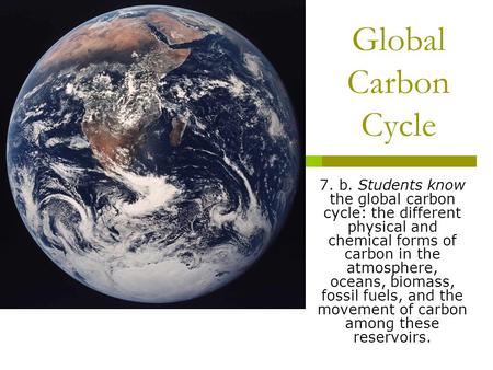 Global Carbon Cycle 7. b. Students know the global carbon cycle: the different physical and chemical forms of carbon in the atmosphere, oceans, biomass,