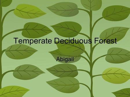 Temperate Deciduous Forest