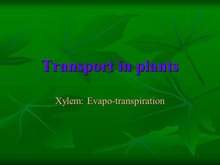 Xylem: Evapo-transpiration