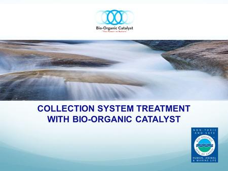 COLLECTION SYSTEM TREATMENT WITH BIO-ORGANIC CATALYST.