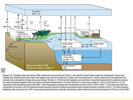 Carbon Cycle.