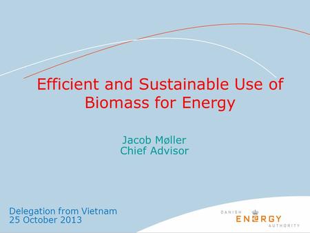 Efficient and Sustainable Use of Biomass for Energy