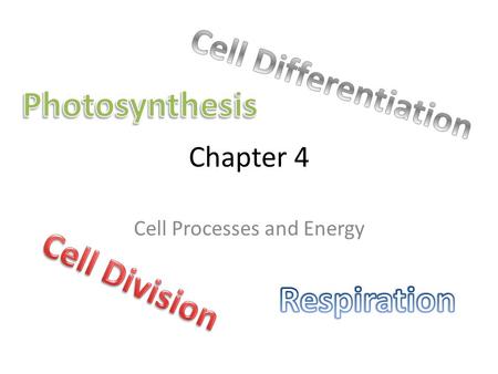 Cell Processes and Energy