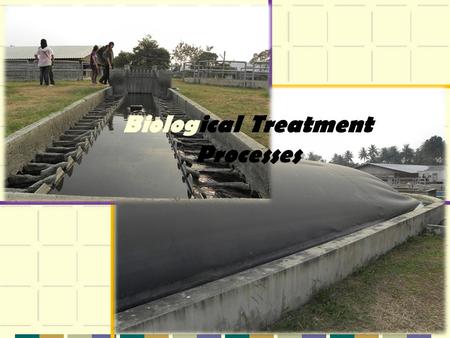 Biological Treatment Processes