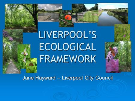 LIVERPOOL’S ECOLOGICAL FRAMEWORK Jane Hayward – Liverpool City Council.