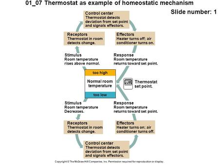 01_07 Thermostat as example of homeostatic mechanism