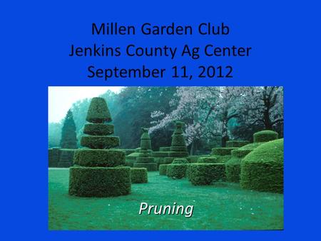 Millen Garden Club Jenkins County Ag Center September 11, 2012 Pruning.