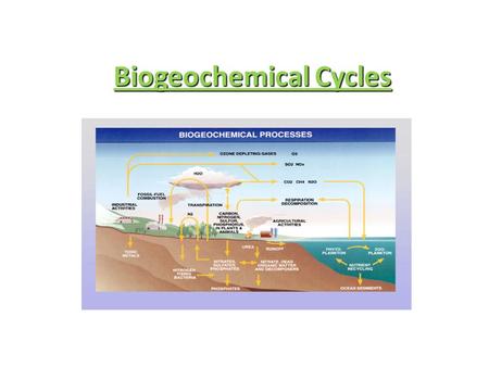 Biogeochemical Cycles