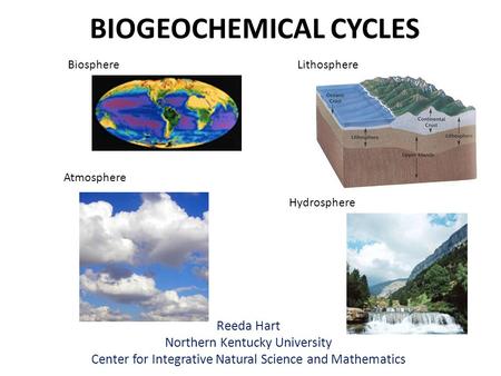 BIOGEOCHEMICAL CYCLES