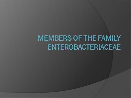 Members of the Family Enterobacteriaceae