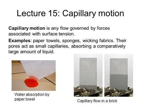 Lecture 15: Capillary motion