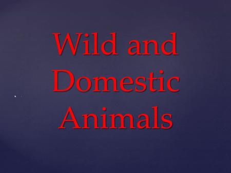 Wild and Domestic Animals