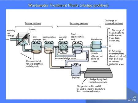 Where does the sludge go? 50-100 grams per person per day Sludge handling/disposal accounts for 25-50% of the cost –Sludge treatment:- Convert organics.