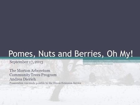 Pomes, Nuts and Berries, Oh My! September 17, 2013 The Morton Arboretum Community Trees Program Andrea Dierich Presentation was made possible by the Illinois.