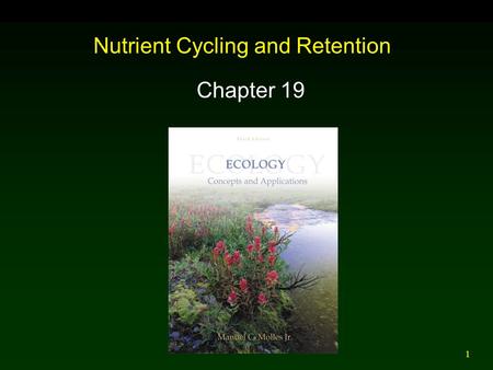 Nutrient Cycling and Retention