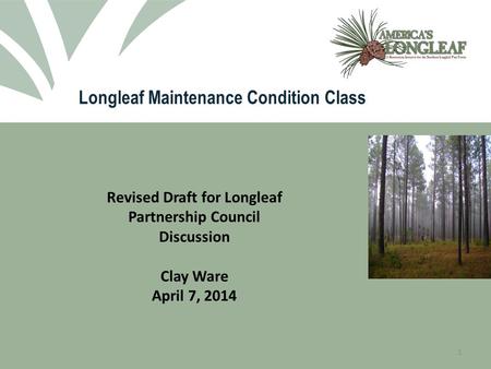 Longleaf Maintenance Condition Class 1 Revised Draft for Longleaf Partnership Council Discussion Clay Ware April 7, 2014.