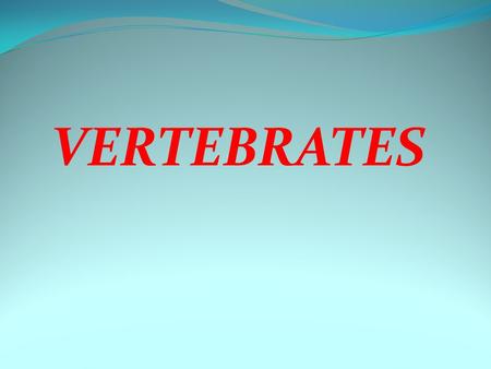 VERTEBRATES.