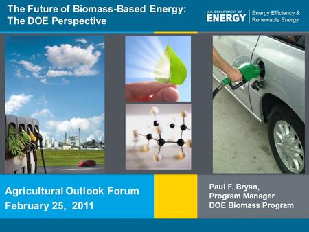 Energy Efficiency & Renewable Energyeere.energy.gov 1 Program Name or Ancillary Texteere.energy.gov The Future of Biomass-Based Energy: The DOE Perspective.