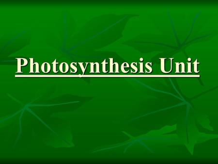 Photosynthesis Unit. Energy Flow through an Ecosystem.