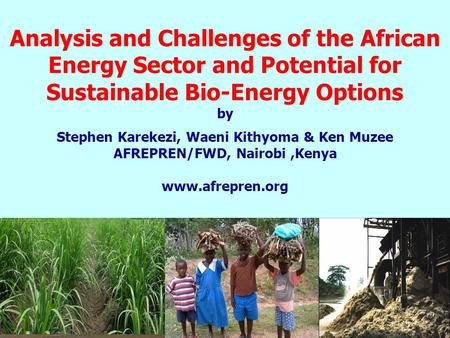 Analysis and Challenges of the African Energy Sector and Potential for Sustainable Bio-Energy Options by Stephen Karekezi, Waeni Kithyoma & Ken Muzee AFREPREN/FWD,