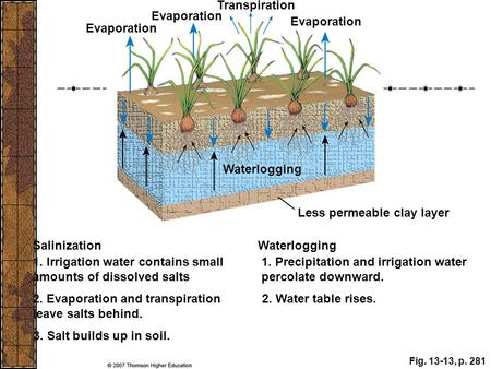 Less permeable clay layer