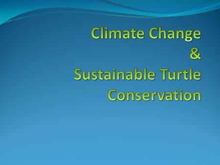 Oxygen WaterFoodMedicinesRecreationIndustryEcotourism Climate Change Disaster Reduction Poverty alleviation CO2 Reduction Biodiversity.