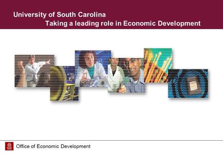 Office of Economic Development University of South Carolina Taking a leading role in Economic Development.