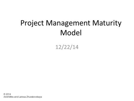 Project Management Maturity Model