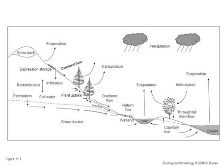 Precipitation Interception Throughfall Stemflow Evaporation Transpiration Evaporation Ocean Lake Ground water Overland flow Return flow Infiltration Redistribution.