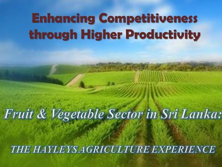 Enhancing Competitiveness through Higher Productivity.