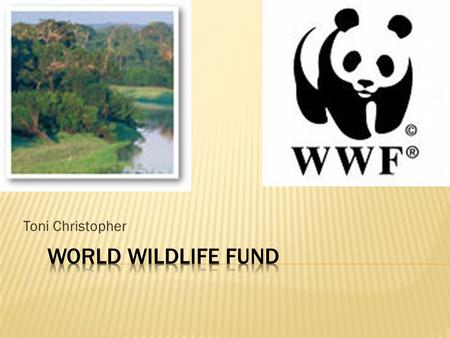 Toni Christopher.  Conservationist organization  Created in 1961 in Europe  100 countries  1.2 million U.S. members, 5 million global.