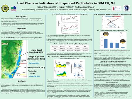 Preliminary analysis (2 cages, 24 clams/cage) showed that the ranking of sites in terms of clam growth over 5 wks in 2013 was: Tuckerton > HC = Sedge >