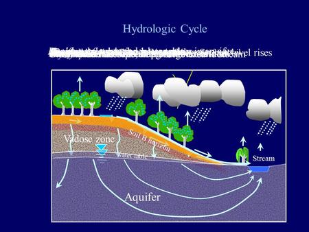 Interception on trees, impermeable surfaces Infiltration into soil Interflow downslope along B horizon Overland flow during heavy rain Recharge reaches.