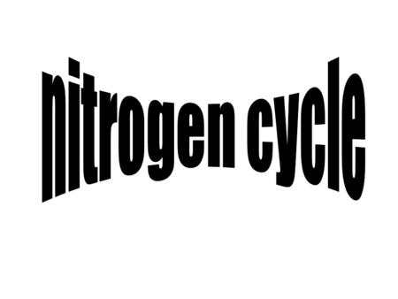 N 2 Nitrogen fixing bacteria in soil and nodules of plants Nitrates are made into proteins in plants NO 3 - Animals get their protein by eating Death.