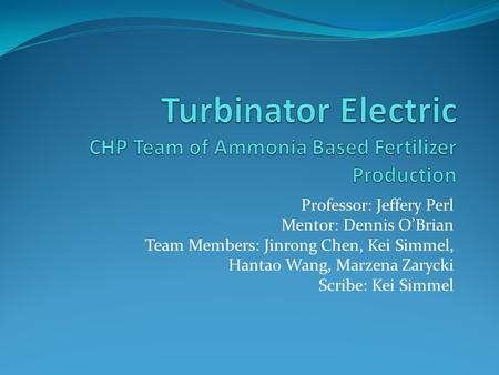 Turbinator Electric CHP Team of Ammonia Based Fertilizer Production