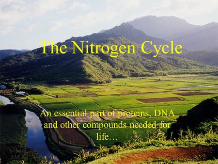 The Nitrogen Cycle An essential part of proteins, DNA and other compounds needed for life…