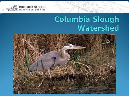 What is a Watershed? A watershed is the area of land where all water drains to a common body of water such as a river, lake or stream.