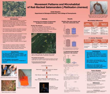 Movement Patterns and Microhabitat of Red-Backed Salamanders (Plethodon cinereus) Introduction Studying movements and microhabitat of a common, widespread.