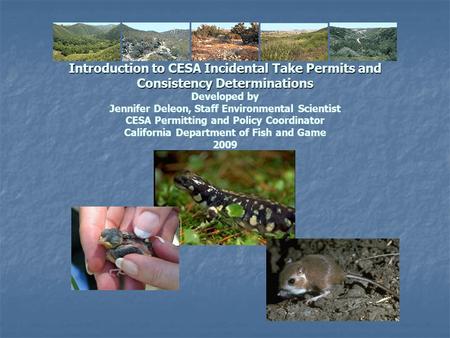 Introduction to CESA Incidental Take Permits and Consistency Determinations Developed by Jennifer Deleon, Staff Environmental Scientist CESA Permitting.