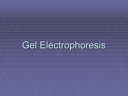 Gel Electrophoresis.