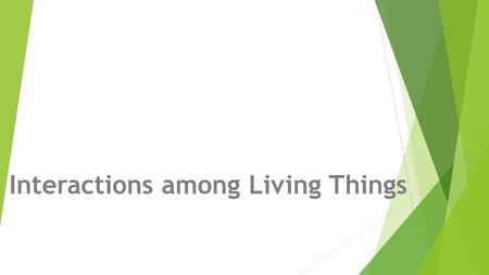 Interactions among Living Things. Populations  There is a limit to the number of organisms (population) that an ecosystem can support based on different.