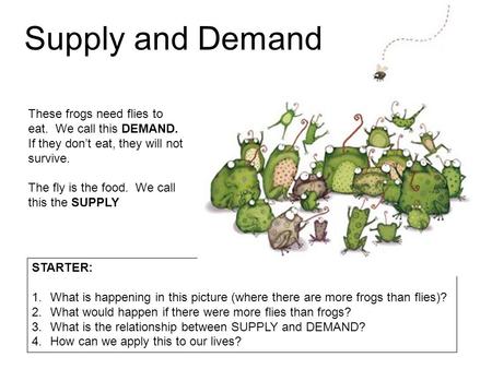 These frogs need flies to eat. We call this DEMAND. If they don’t eat, they will not survive. The fly is the food. We call this the SUPPLY STARTER: 1.What.