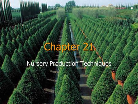 Nursery Production Techniques