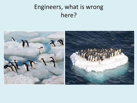 Engineers, what is wrong here?. There are penguins all over the world, not just in Antarctica. The red dots indicate where penguins live. There are penguins.