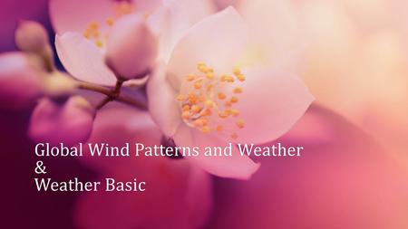 Global Wind Patterns and Weather & Weather Basic