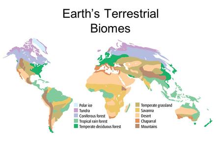 Earth’s Terrestrial Biomes