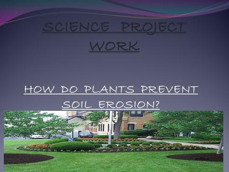 HOW DO PLANTS PREVENT SOIL EROSION?. HOW TO PREVENT SOIL EROSION Did you know that soil erosion is a natural process that normally causes little problems?