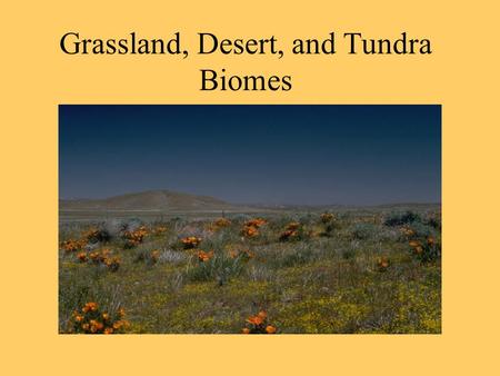 Grassland, Desert, and Tundra Biomes