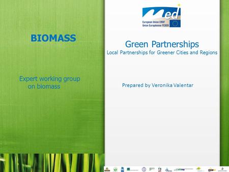 Green Partnerships Local Partnerships for Greener Cities and Regions BIOMASS Expert working group on biomass Prepared by Veronika Valentar.