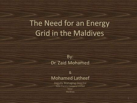 The Need for an Energy Grid in the Maldives